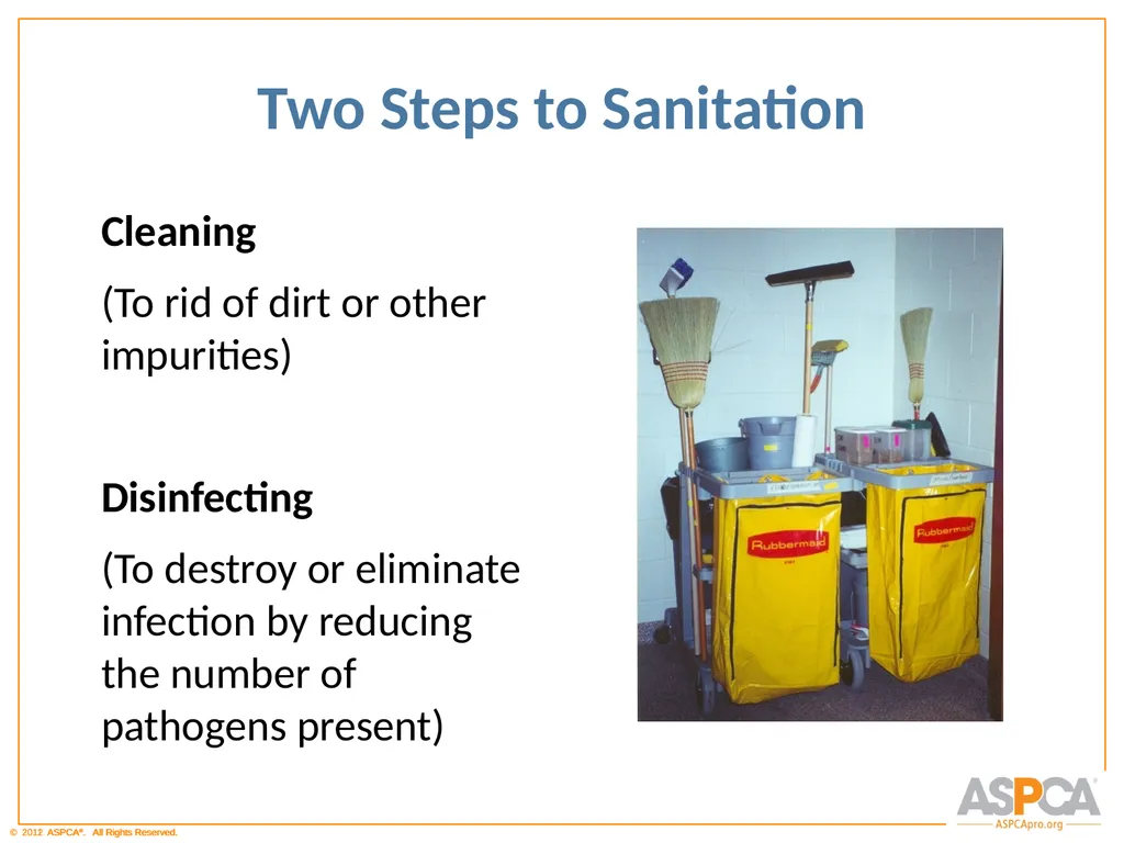 Basic Orientation for Staff and Volunteers - slide 22 of 40