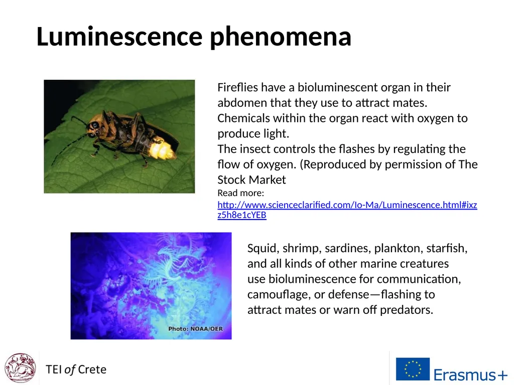 Display Technologies A course for Erasmus Students - slide 4 of 33