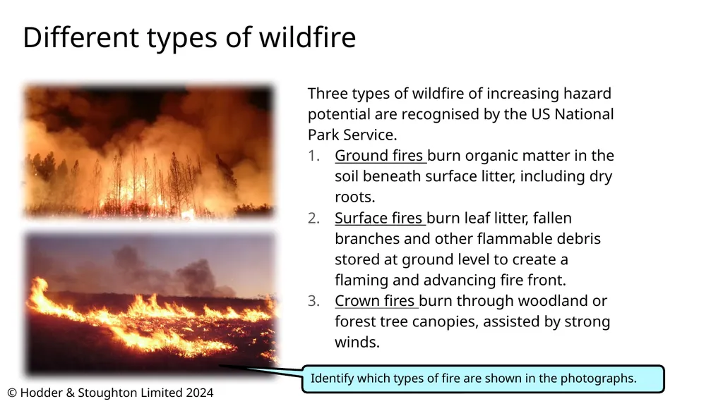 © Hodder & Stoughton Limited 2024 Wildfire - slide 3 of 14