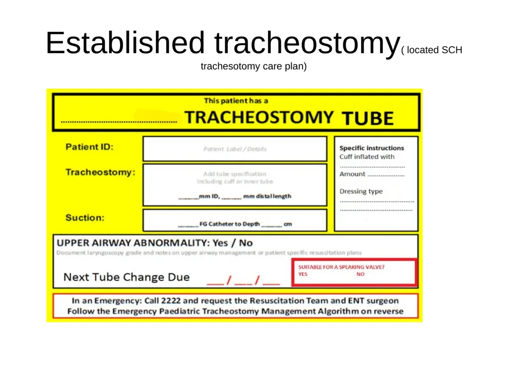 PROBLEM SOLVING 2020 Jane Hutchins & Jessica - slide 6 of 19