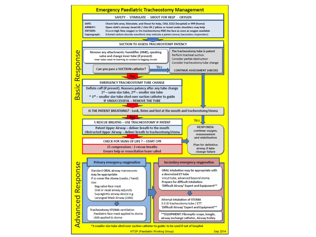 PROBLEM SOLVING 2020 Jane Hutchins & Jessica - slide 7 of 19