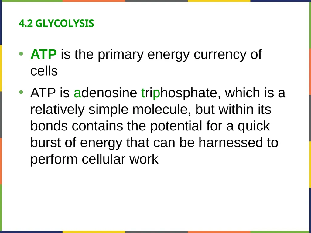 Concepts of Biology Chapter 4 HOW CELLS OBTAIN - slide 37 of 63