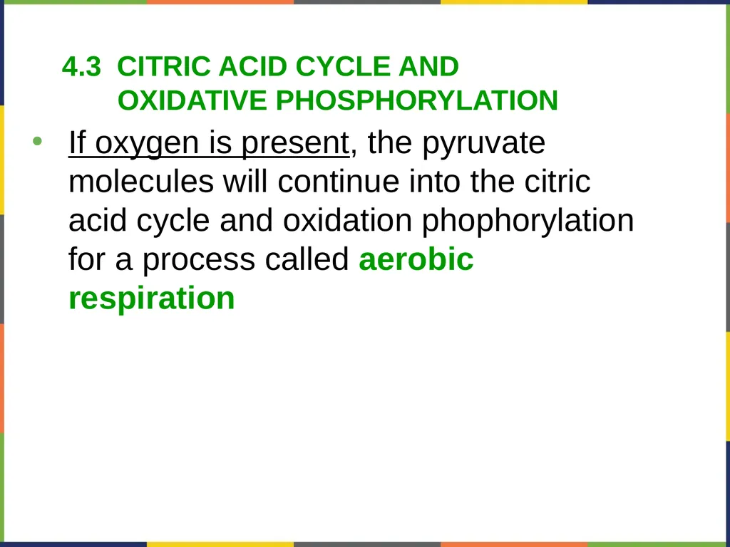 Concepts of Biology Chapter 4 HOW CELLS OBTAIN - slide 43 of 63