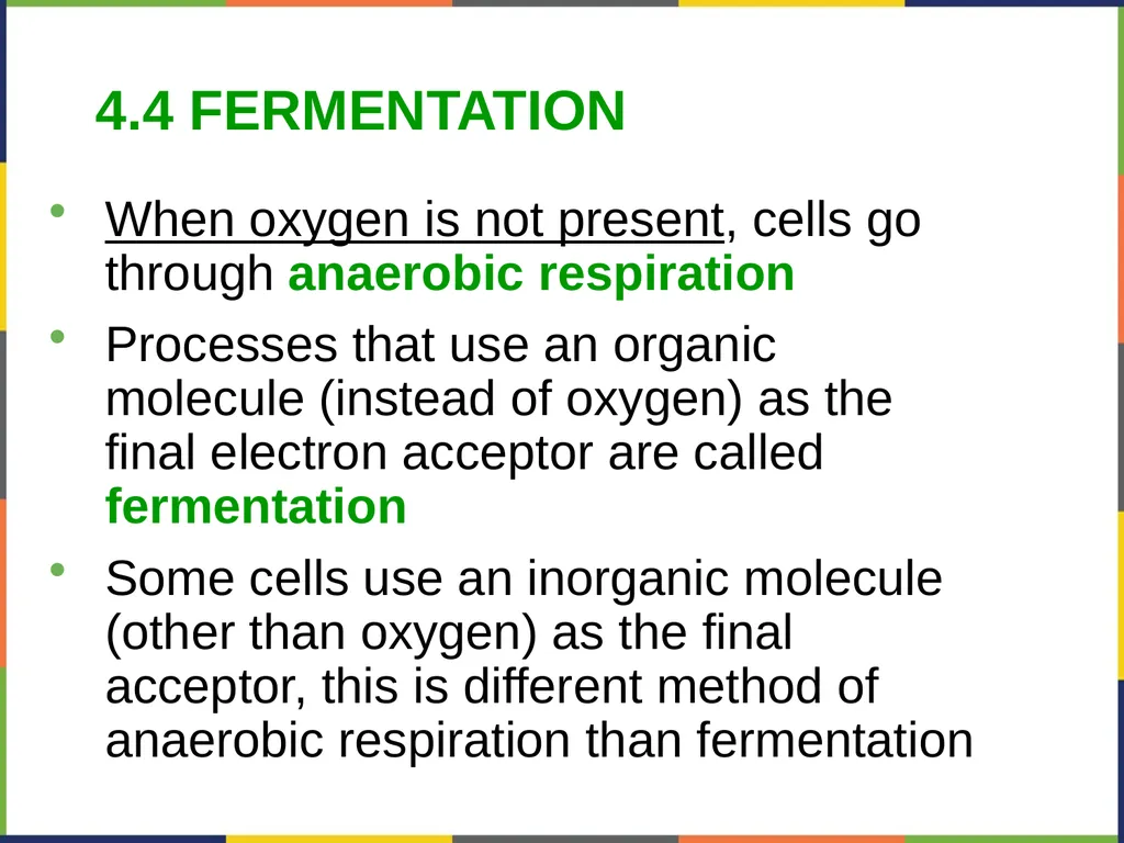 Concepts of Biology Chapter 4 HOW CELLS OBTAIN - slide 51 of 63