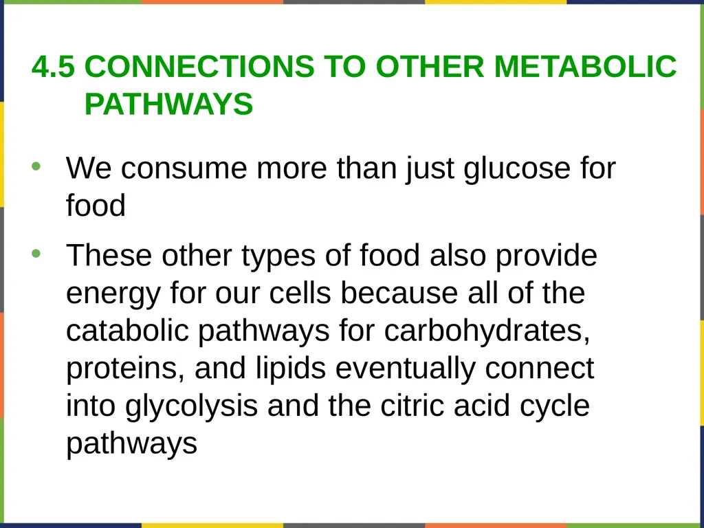 Concepts of Biology Chapter 4 HOW CELLS OBTAIN - slide 59 of 63