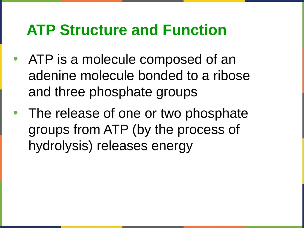 Concepts of Biology Chapter 4 HOW CELLS OBTAIN - slide 39 of 63