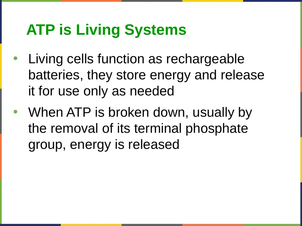 Concepts of Biology Chapter 4 HOW CELLS OBTAIN - slide 38 of 63