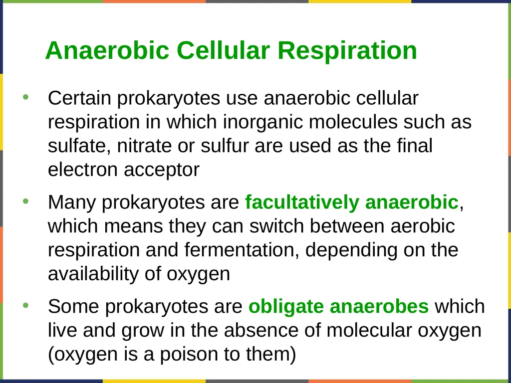 Concepts of Biology Chapter 4 HOW CELLS OBTAIN - slide 57 of 63