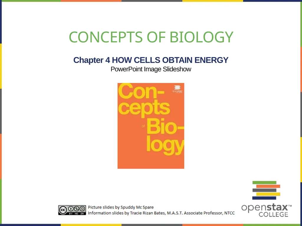 Concepts of Biology Chapter 4 HOW CELLS OBTAIN - slide 1 of 63