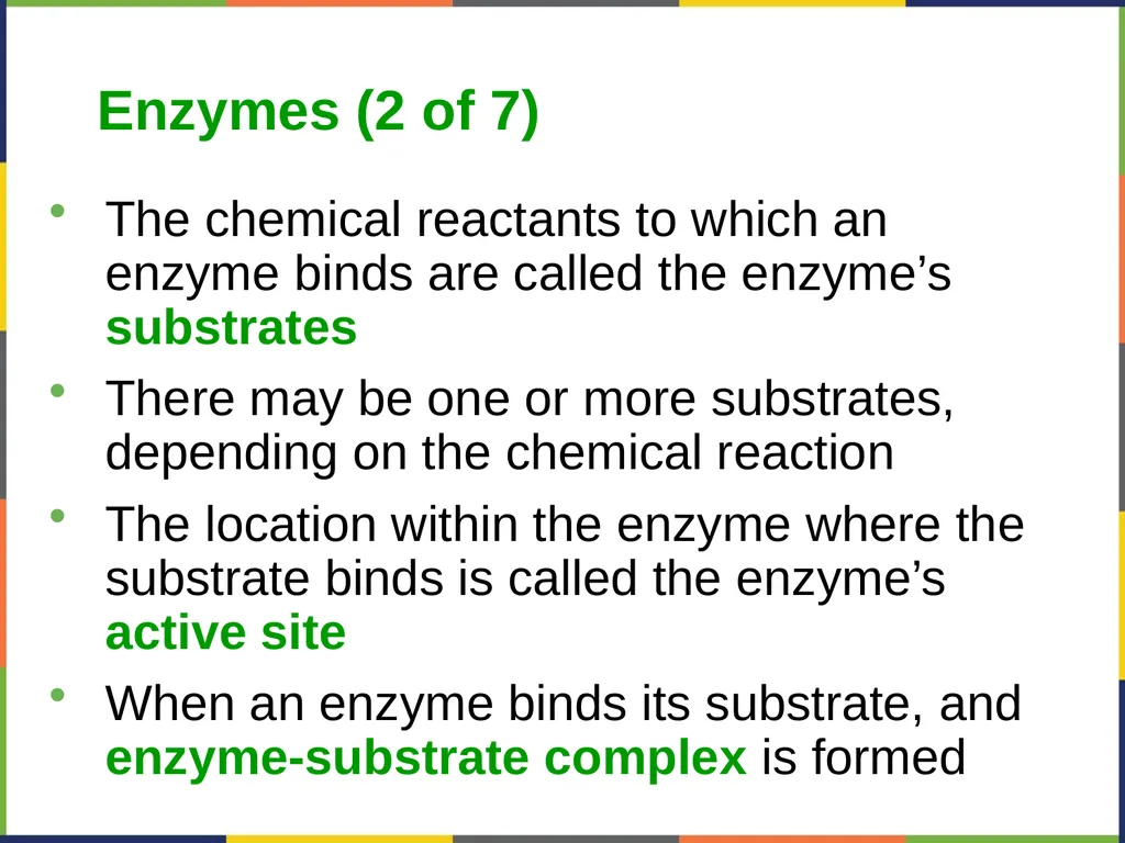 Concepts of Biology Chapter 4 HOW CELLS OBTAIN - slide 26 of 63
