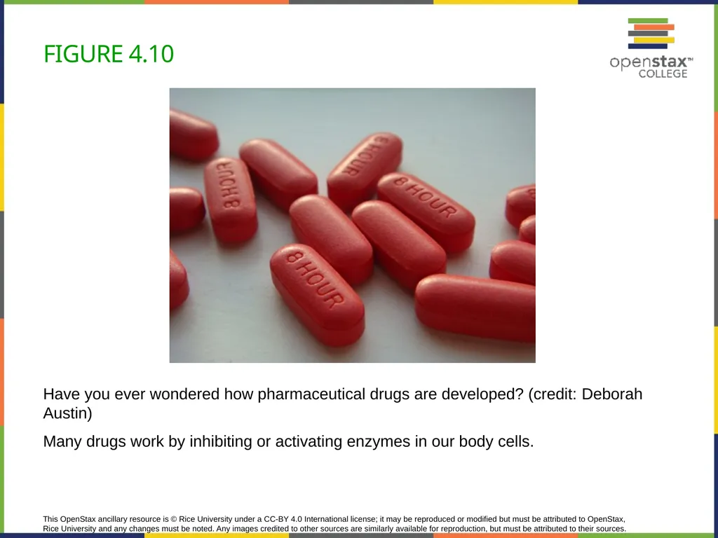 Concepts of Biology Chapter 4 HOW CELLS OBTAIN - slide 33 of 63