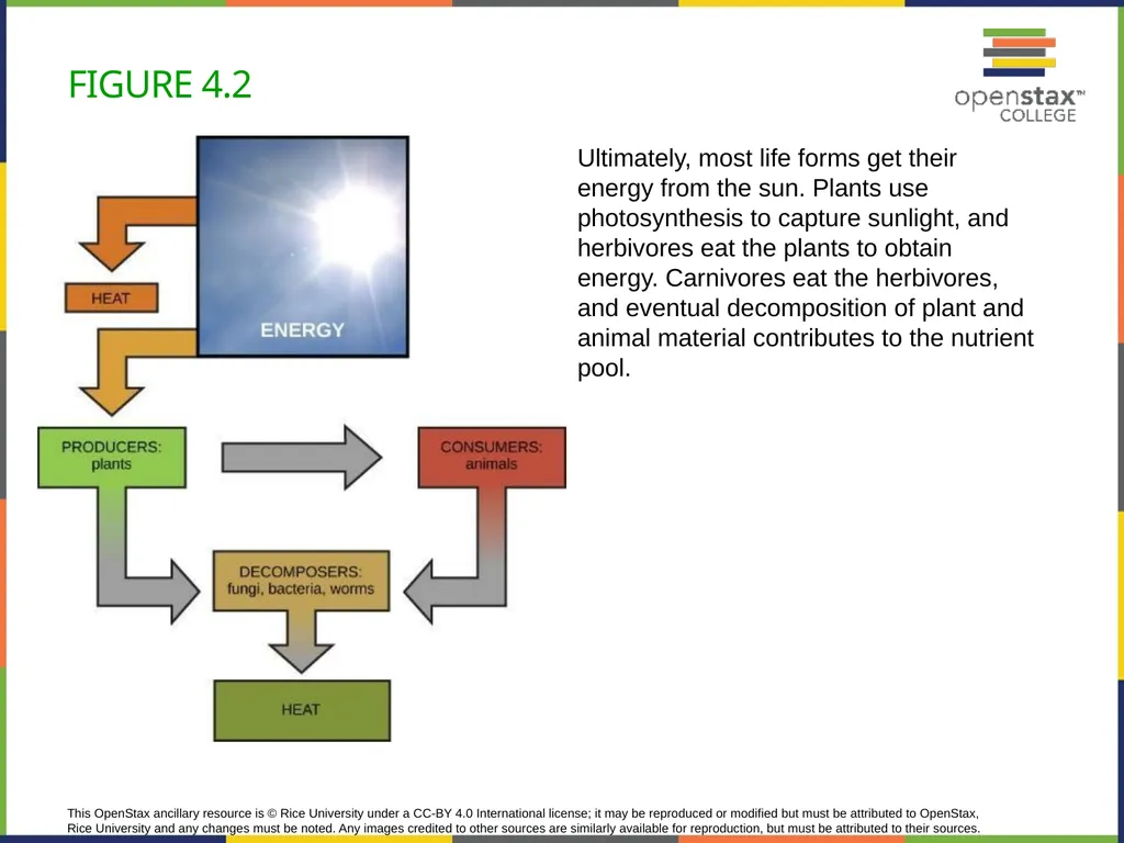Concepts of Biology Chapter 4 HOW CELLS OBTAIN - slide 5 of 63