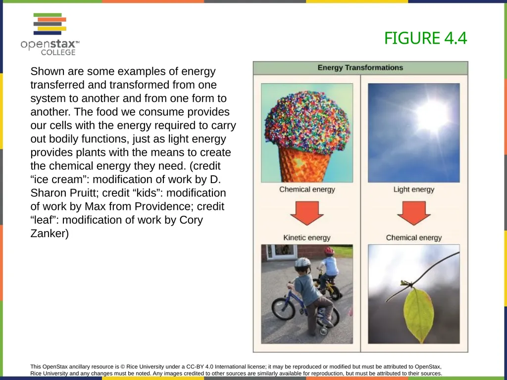Concepts of Biology Chapter 4 HOW CELLS OBTAIN - slide 15 of 63