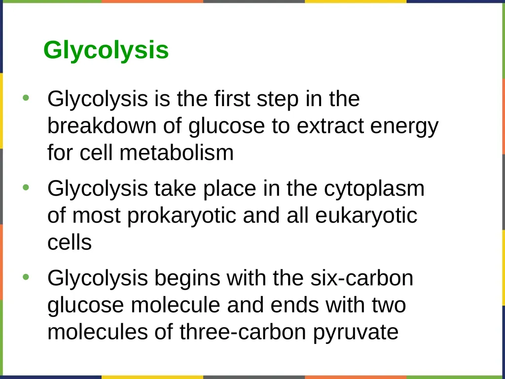 Concepts of Biology Chapter 4 HOW CELLS OBTAIN - slide 41 of 63