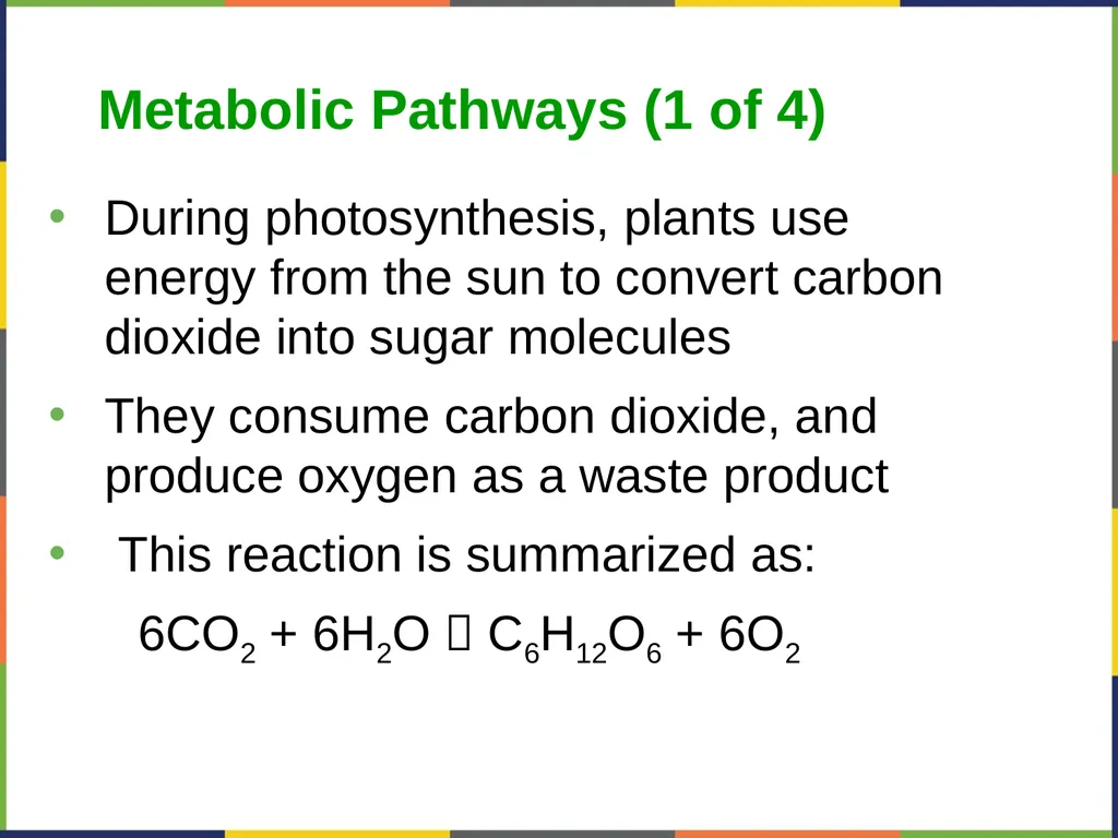 Concepts of Biology Chapter 4 HOW CELLS OBTAIN - slide 6 of 63