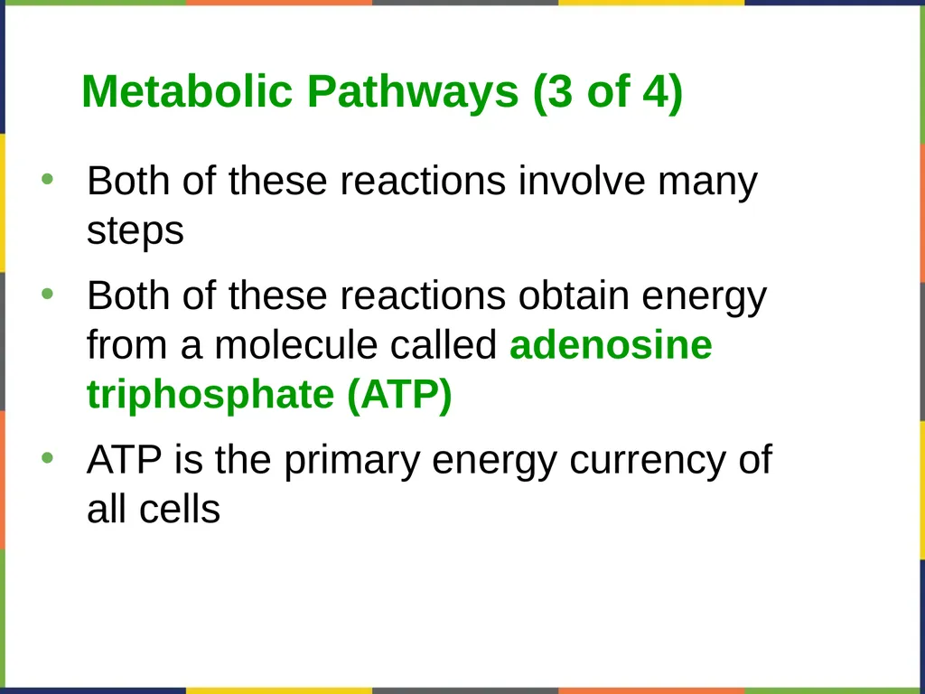 Concepts of Biology Chapter 4 HOW CELLS OBTAIN - slide 8 of 63