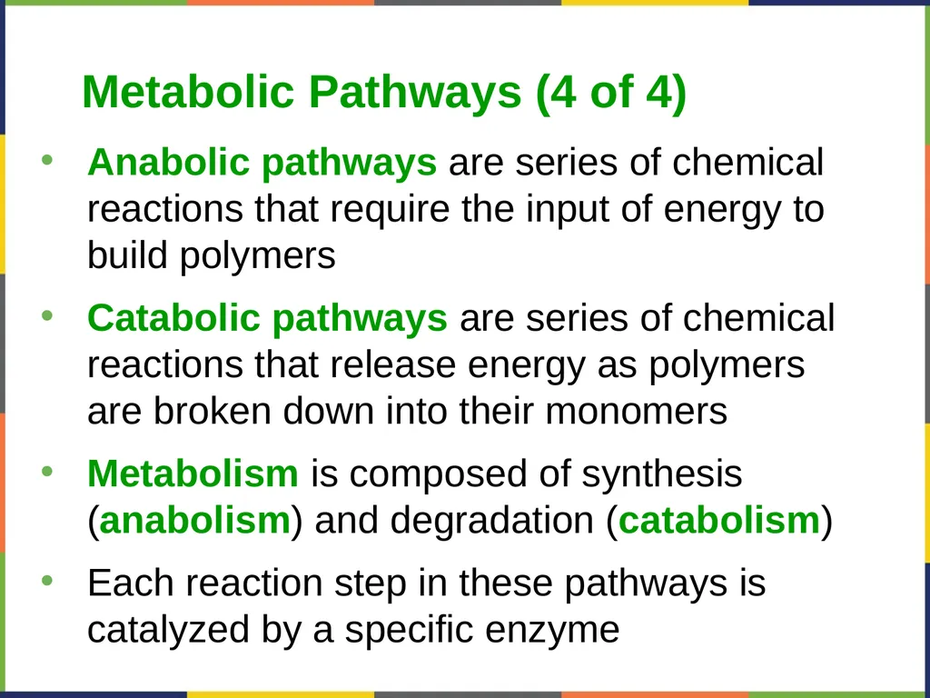 Concepts of Biology Chapter 4 HOW CELLS OBTAIN - slide 9 of 63
