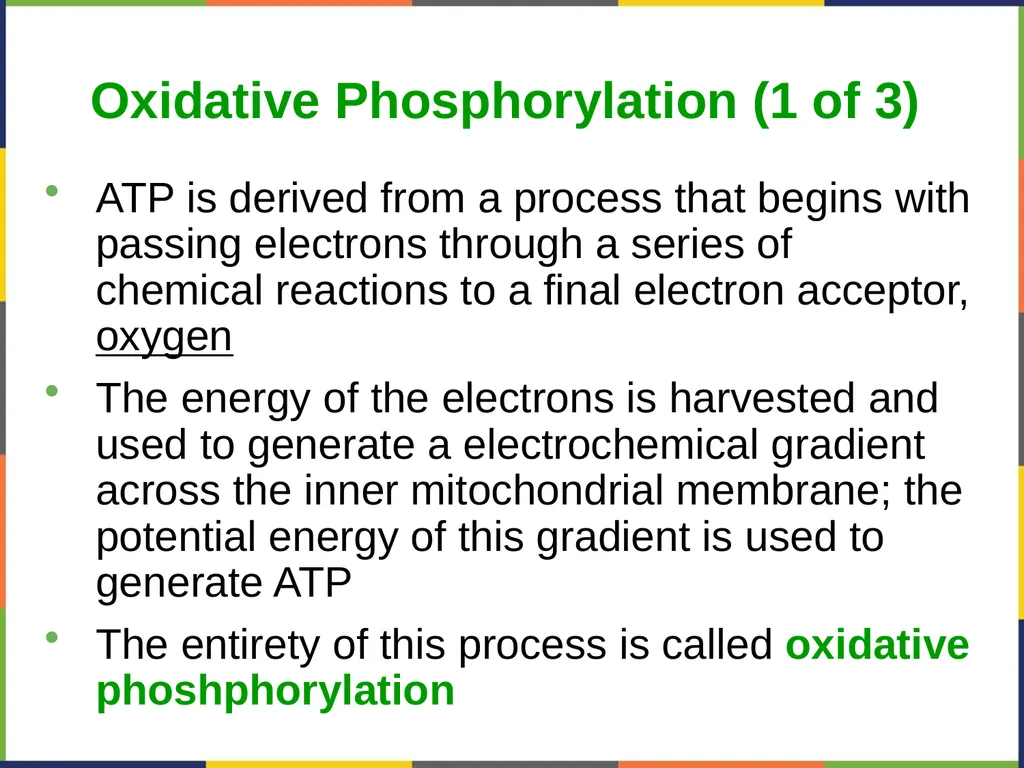 Concepts of Biology Chapter 4 HOW CELLS OBTAIN - slide 46 of 63