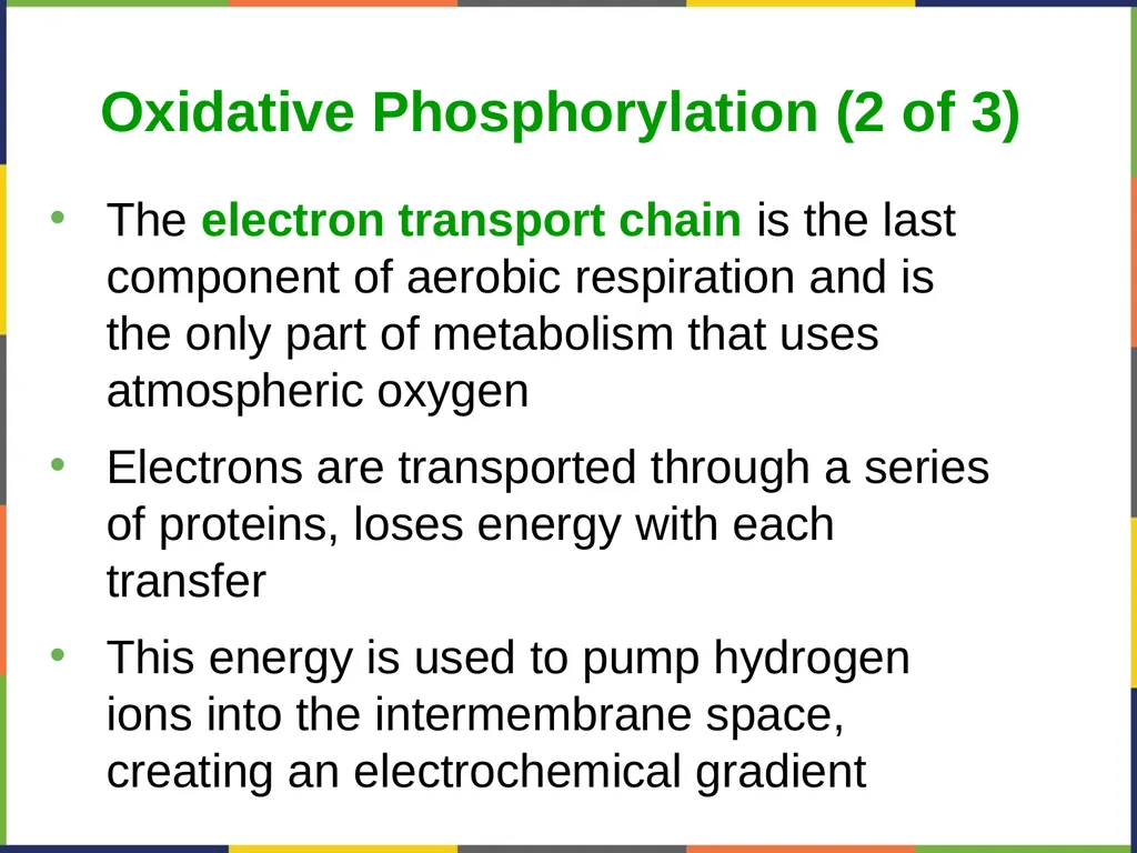 Concepts of Biology Chapter 4 HOW CELLS OBTAIN - slide 47 of 63