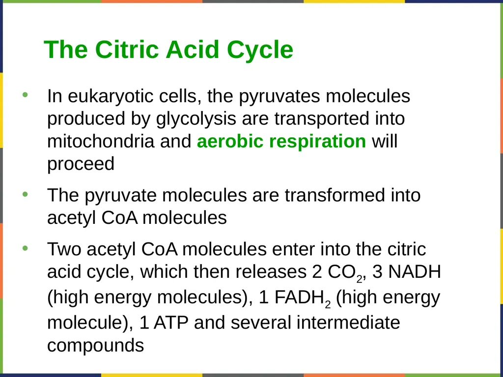 Concepts of Biology Chapter 4 HOW CELLS OBTAIN - slide 44 of 63