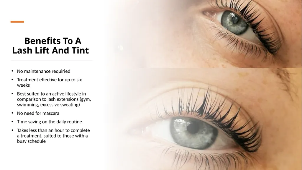 Lash Lift & Tint Training Manual Introduction - slide 4 of 32