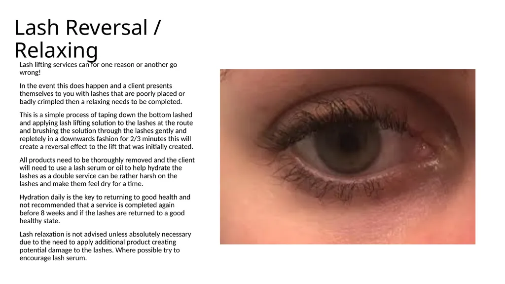 Lash Lift & Tint Training Manual Introduction - slide 27 of 32