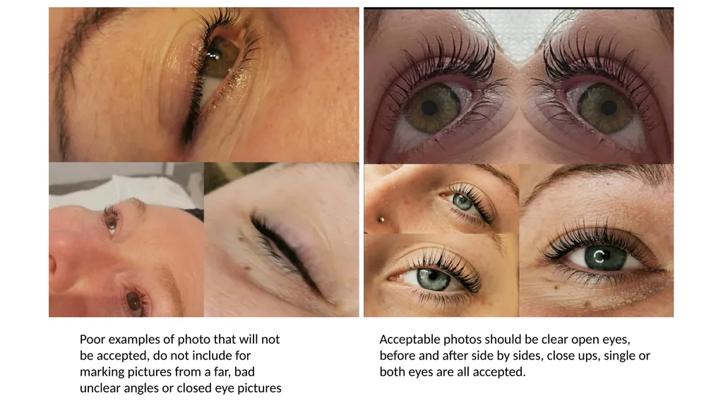 Lash Lift & Tint Training Manual Introduction - slide 31 of 32