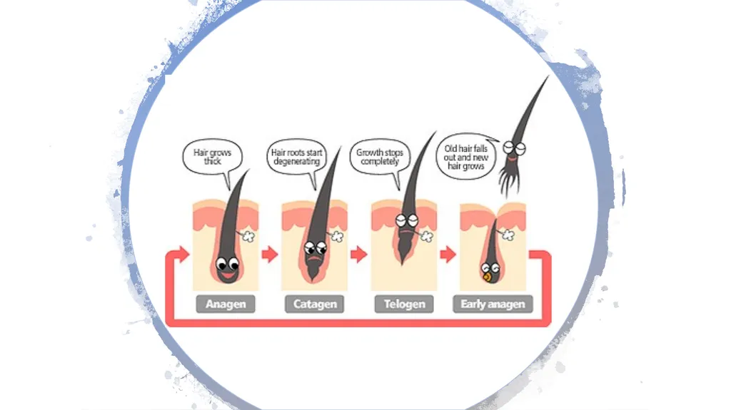 Lash Lift & Tint Training Manual Introduction - slide 13 of 32