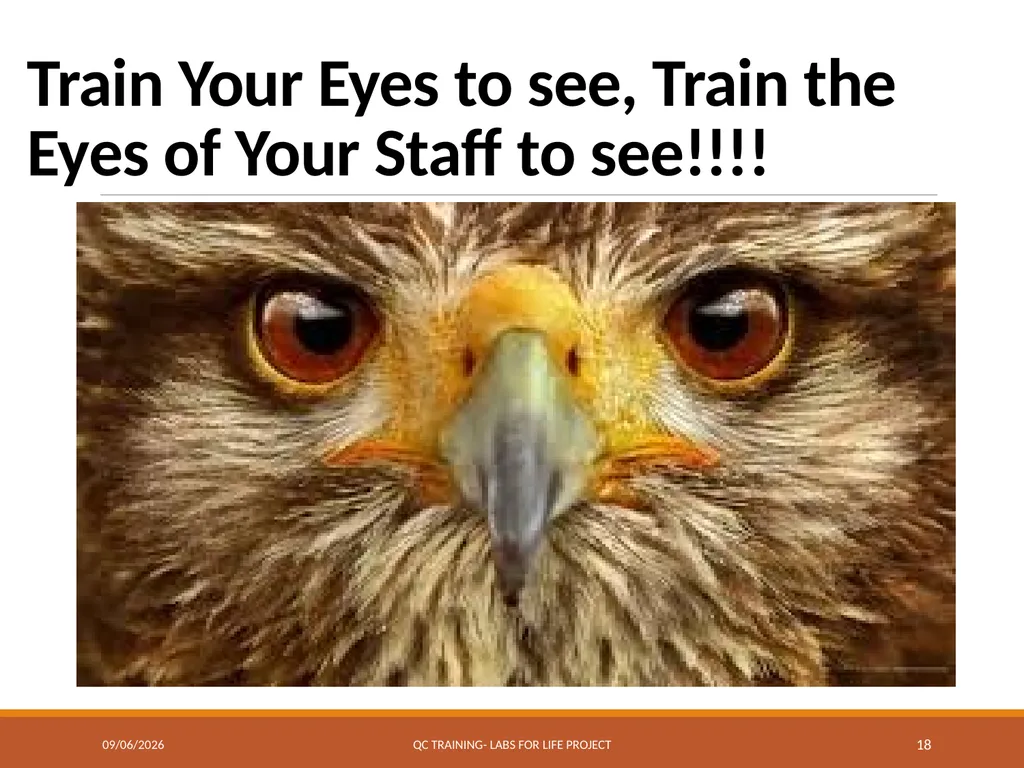 Levey-Jennings Charts Graphically Representing - slide 17 of 22