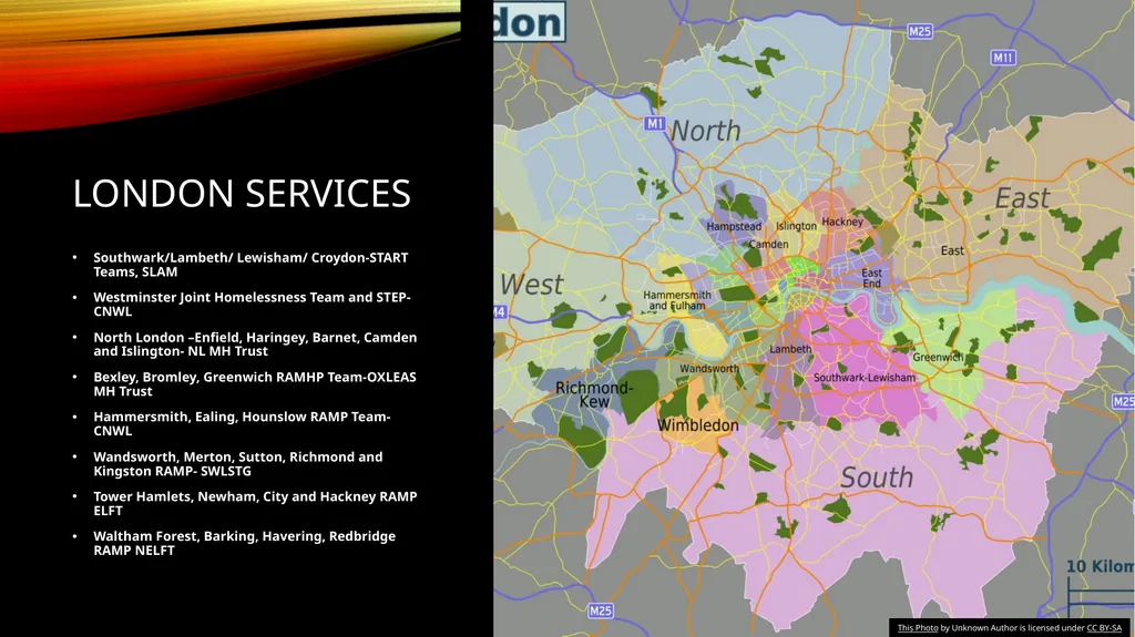 DEVELOPING INCLUSION HEALTH SERVICES Fran Busby- - slide 12 of 18
