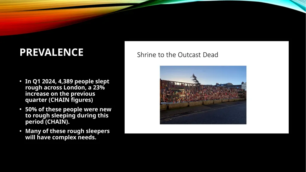 DEVELOPING INCLUSION HEALTH SERVICES Fran Busby- - slide 2 of 18