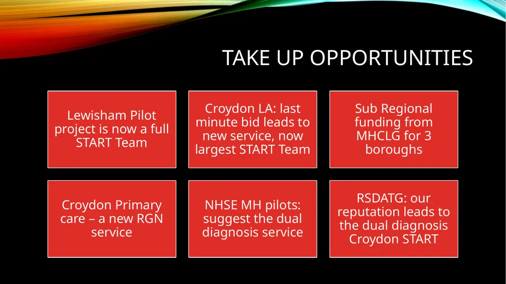 DEVELOPING INCLUSION HEALTH SERVICES Fran Busby- - slide 17 of 18
