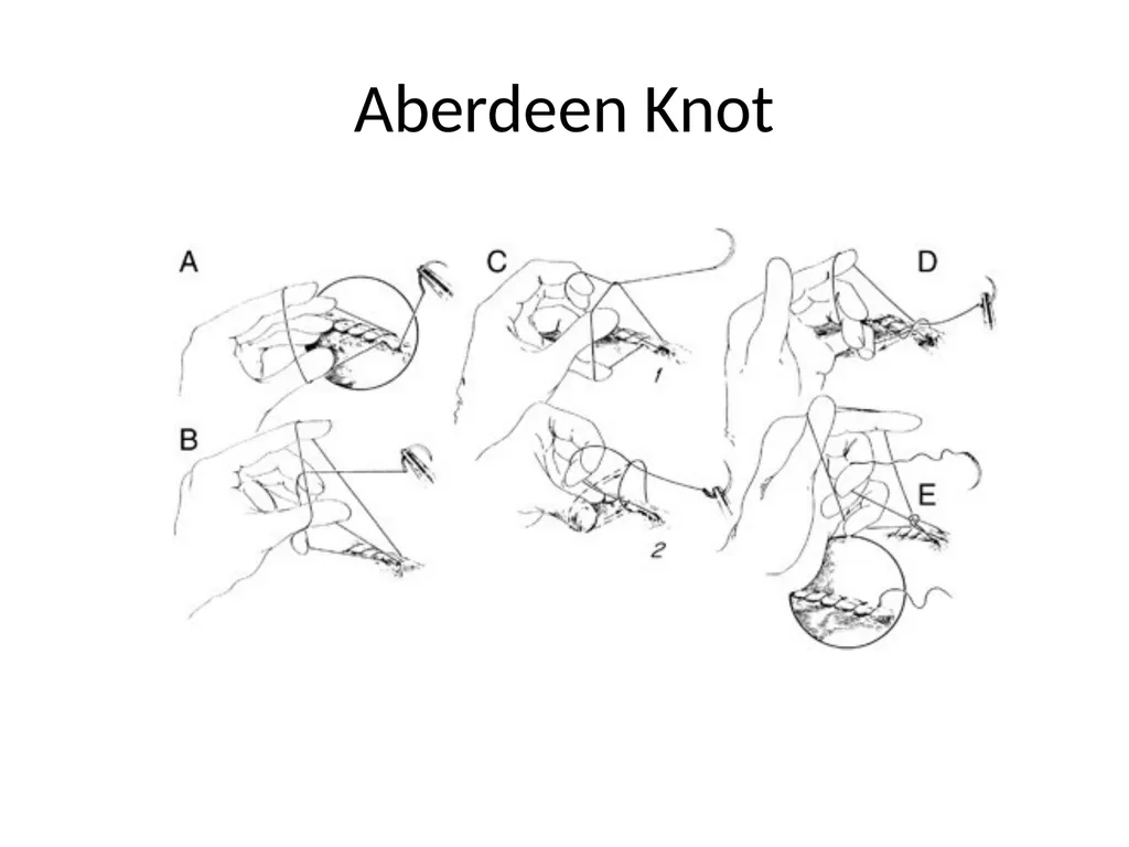 Advanced Suturing for RVNs Zamantha Marshall - slide 24 of 27