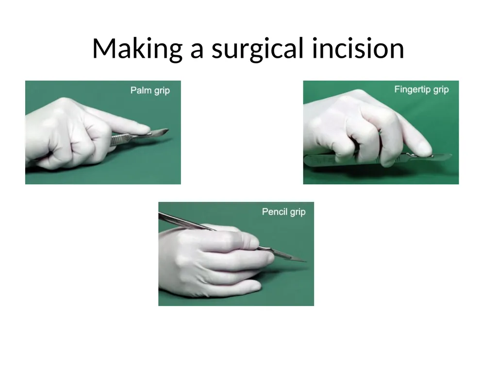 Advanced Suturing for RVNs Zamantha Marshall - slide 18 of 27