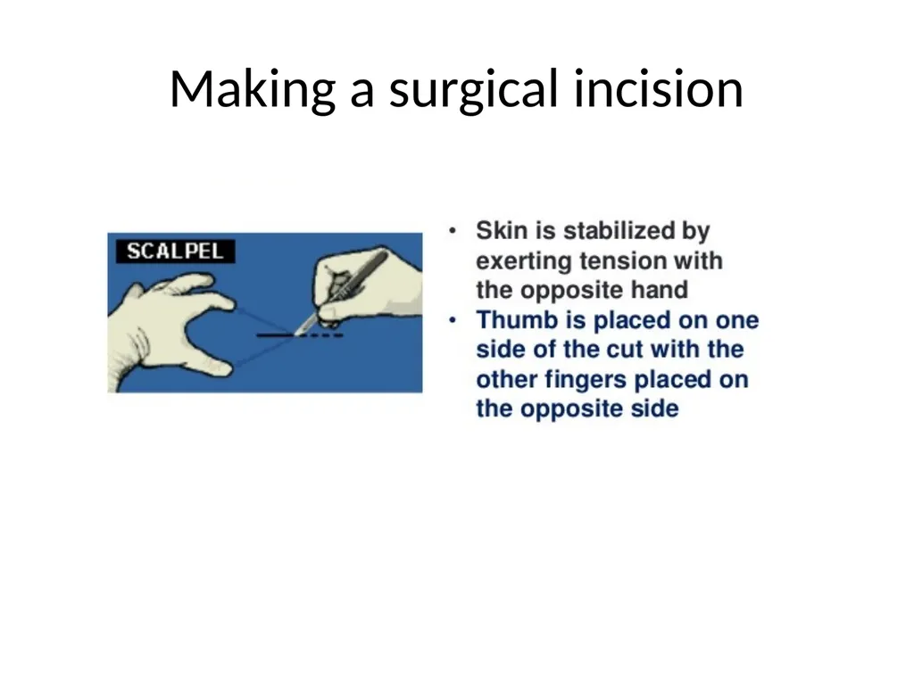 Advanced Suturing for RVNs Zamantha Marshall - slide 19 of 27