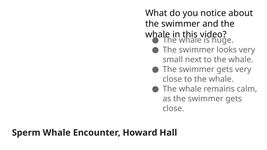 The Sea Module 1 Lessons 1-9 Why do people explore - slide 95 of 211