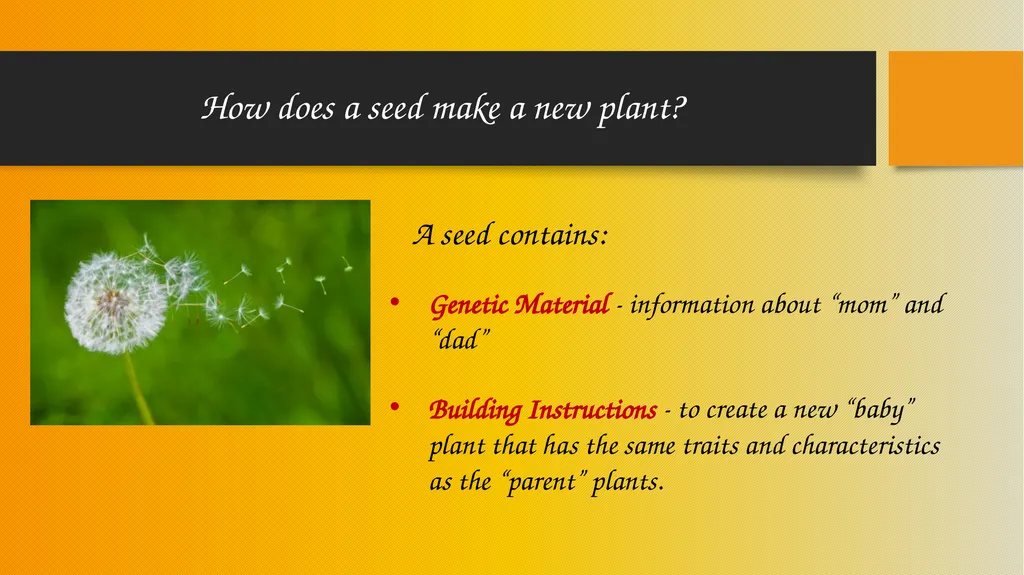 How Pollinators Pollinate Alabama Wildlife - slide 5 of 15