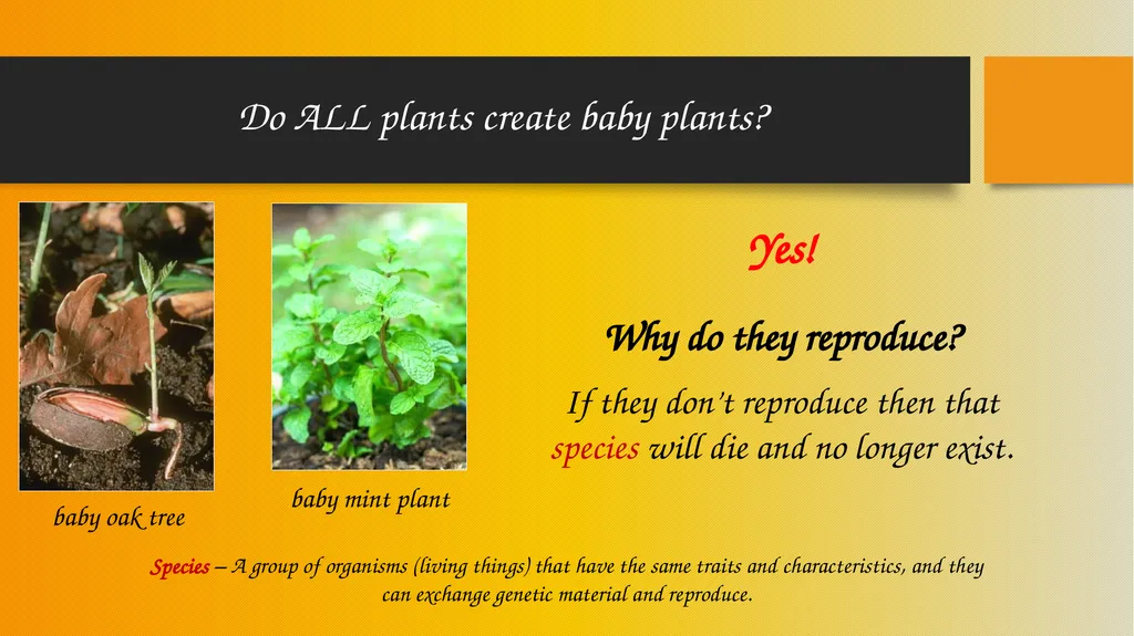 How Pollinators Pollinate Alabama Wildlife - slide 3 of 15