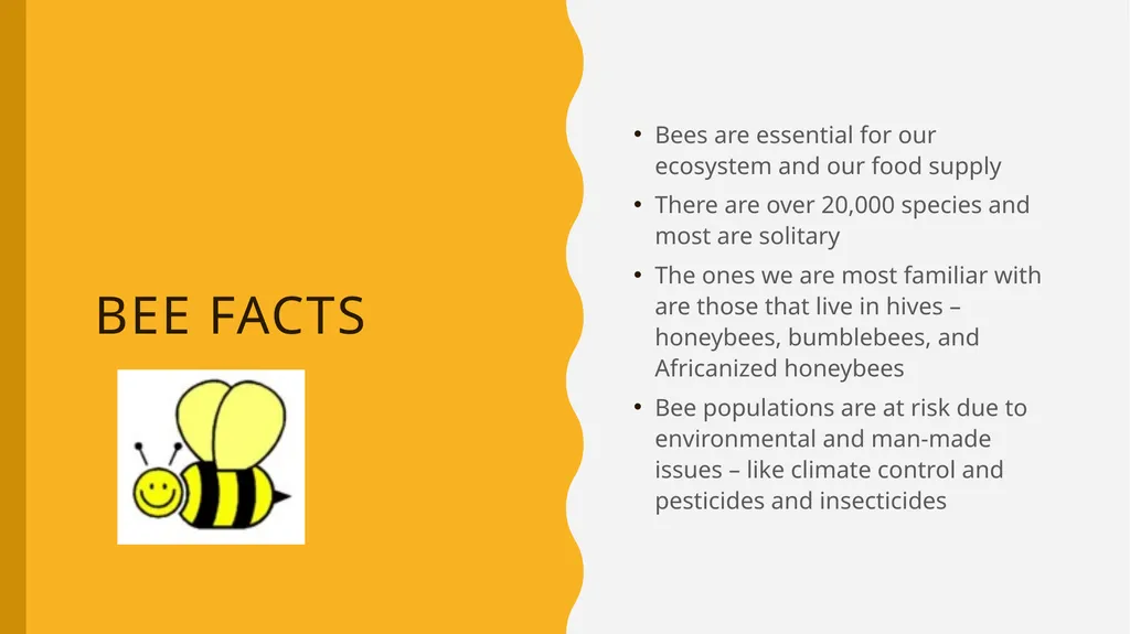 The Buzz About Bees Facts, Importance, and how you - slide 4 of 11