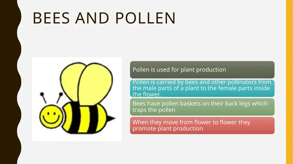 The Buzz About Bees Facts, Importance, and how you - slide 6 of 11