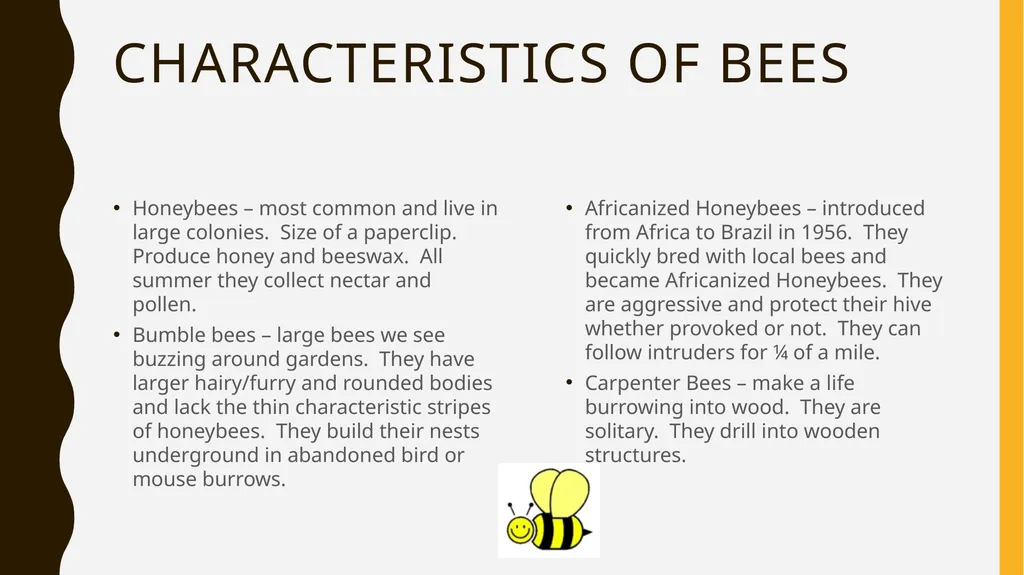 The Buzz About Bees Facts, Importance, and how you - slide 9 of 11