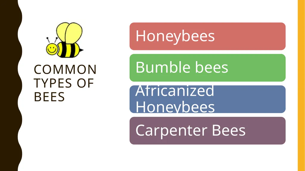 The Buzz About Bees Facts, Importance, and how you - slide 8 of 11