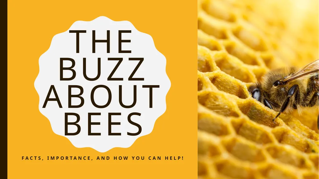 The Buzz About Bees Facts, Importance, and how you - slide 1 of 11