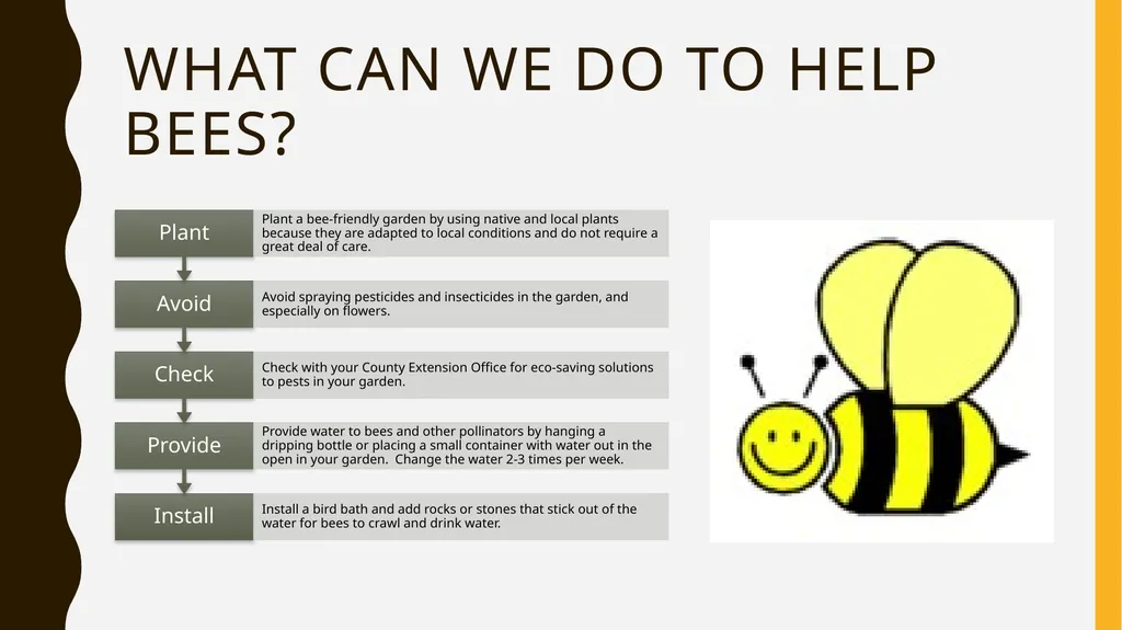 The Buzz About Bees Facts, Importance, and how you - slide 10 of 11