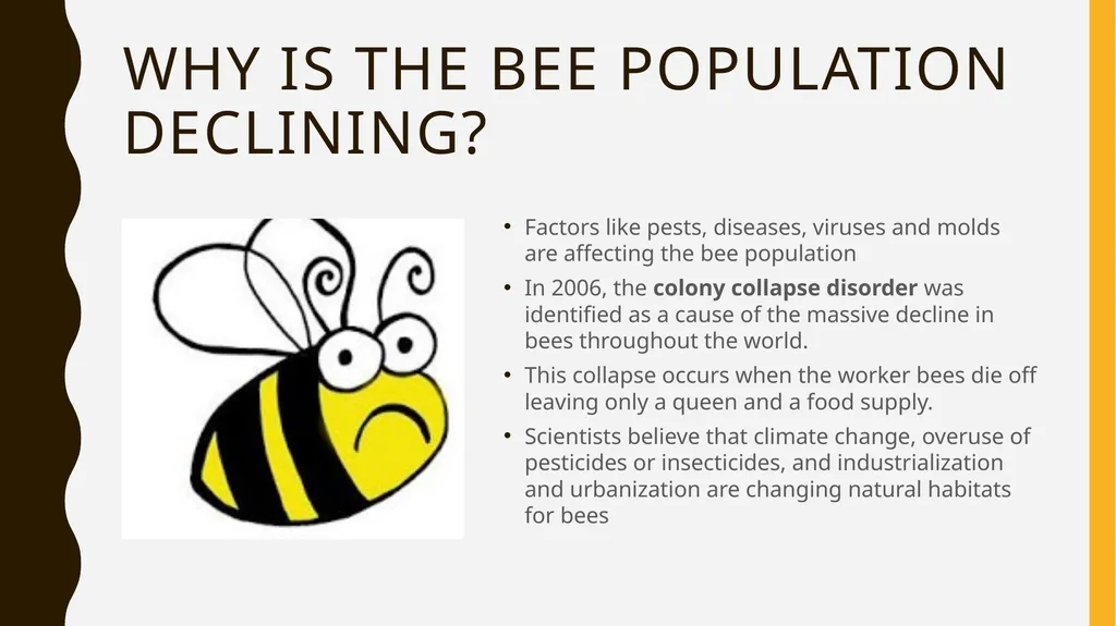 The Buzz About Bees Facts, Importance, and how you - slide 7 of 11