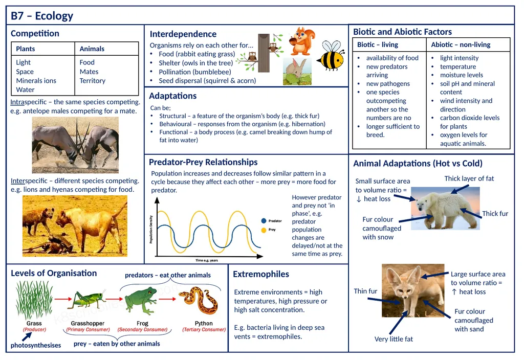 B7 – Ecology Competition Interspecific – different - slide 1 of 6