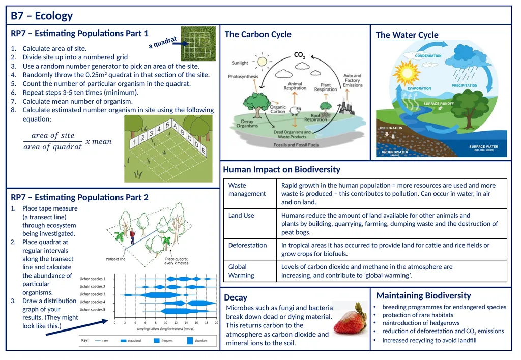 B7 – Ecology Competition Interspecific – different - slide 3 of 6