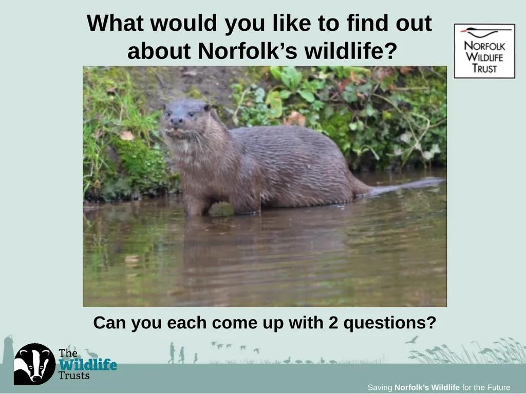 Saving Norfolk’s Wildlife for the Future Saving - slide 12 of 13