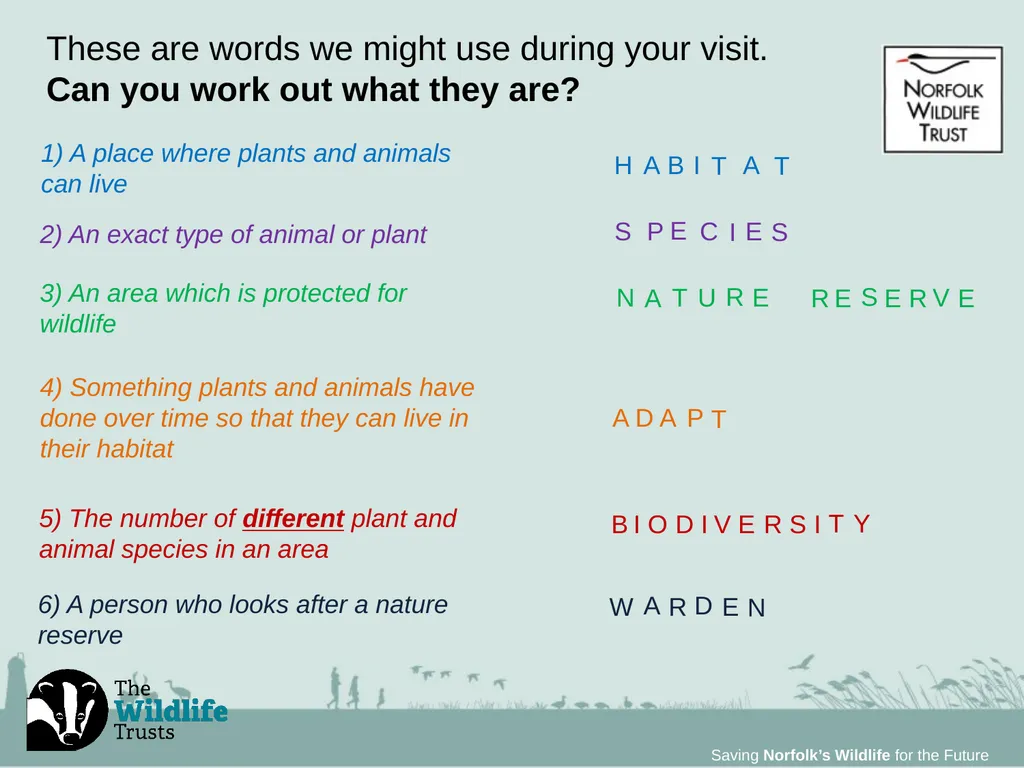 Saving Norfolk’s Wildlife for the Future Saving - slide 10 of 13