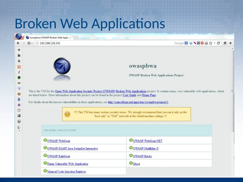 Introduction to Application Penetration Testing - slide 12 of 26